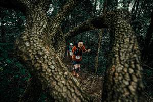 BIB: 
                            <button type="button" onclick="openModal(25682697)" class="btn btn-primary btn-sm float-right btn-popup" data-toggle="modal" data-target=".modal-high-quality">
                        <i class="fas fa-shopping-cart"></i> Add to Cart
                    </button>
                                            <button type="button" onclick="isThisMe(25682697, true)" class="btn btn-success btn-sm float-right btn-popup btn-isme hidden" data-toggle="tooltip" data-placement="bottom" title="นี่คือรูปของคุณใช่ไหม คลิกที่นี่เพื่อเอาเข้าอัลบั้ม">
                        <i class="fas fa-plus"></i> Add to album
                    </button>
                    <button type="button" onclick="isThisMe(25682697, false)" class="btn btn-warning btn-sm float-right btn-popup btn-isnotme hidden">
                        <i class="fas fa-ban"></i> Remove from album
                    </button>